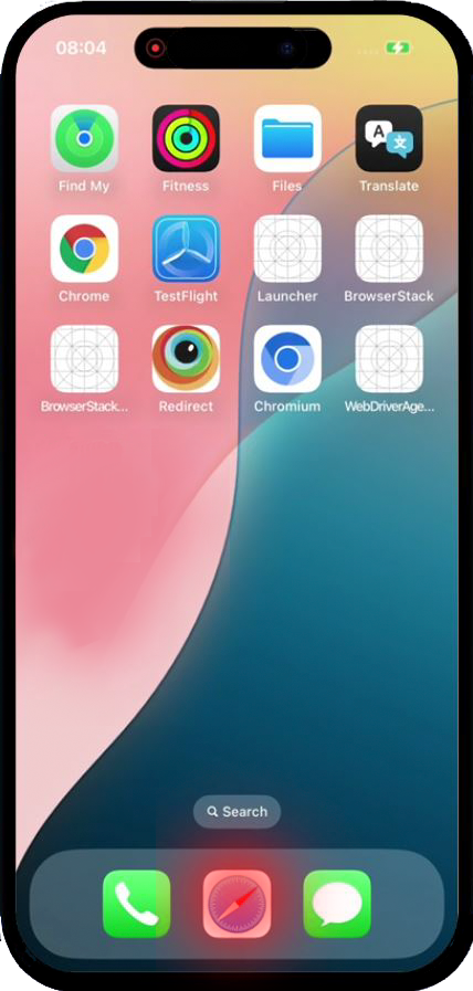 Open Safari Open Safari